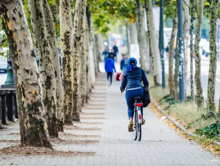Cycliste sous les arbres